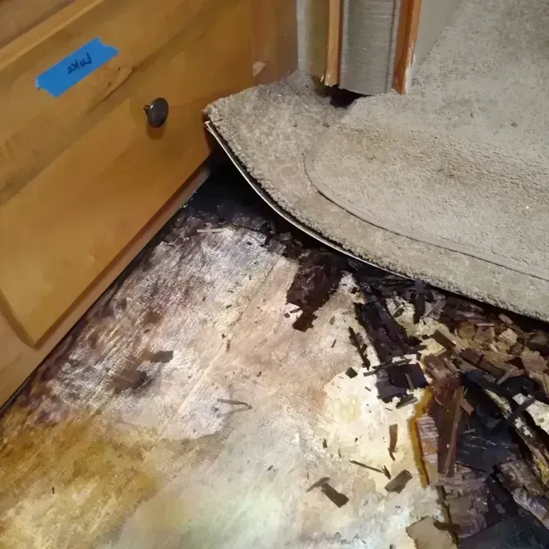 Wood Floor Water Damage in Raleigh County, WV